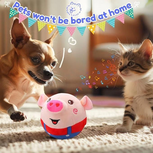 Piggo™ Motion Play Ball