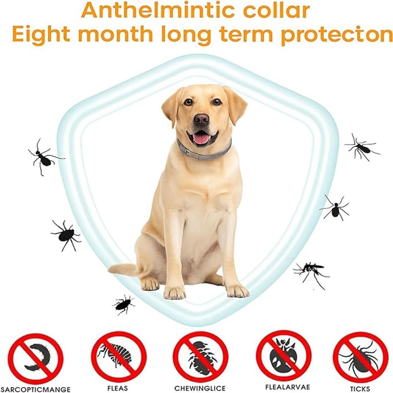 ShieldPaw™ Flea & Tick Defense Collar