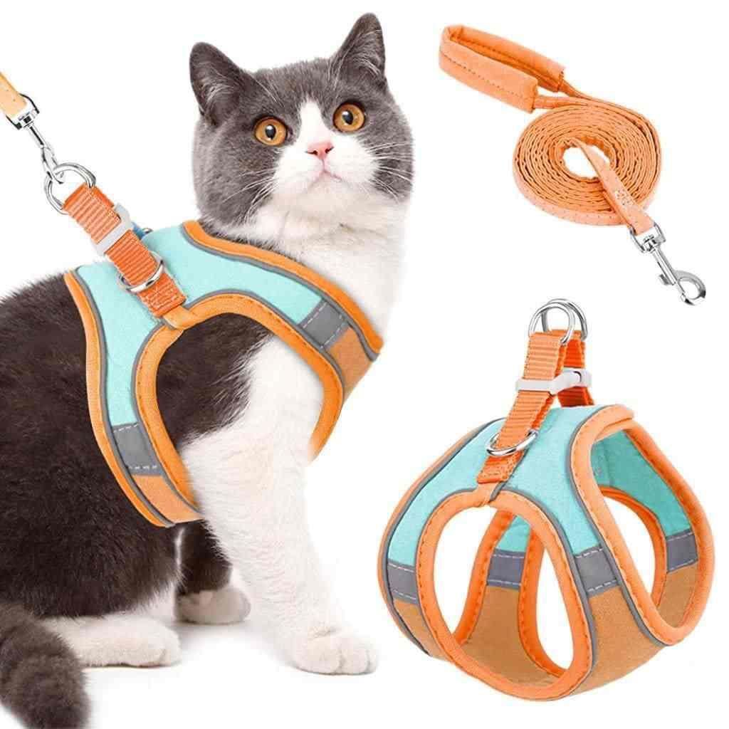 Velora™ SoftGrip Cat Harness & Lead Comfortable